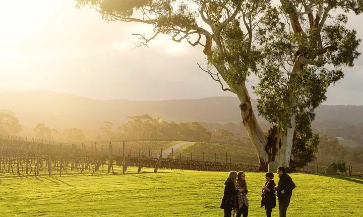 Hahndorf and Adelaide Hills Hop-On Hop-Off Winery Tour from City