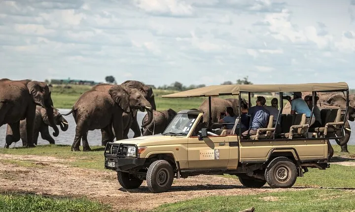 Chobe Day Trip, Botswana