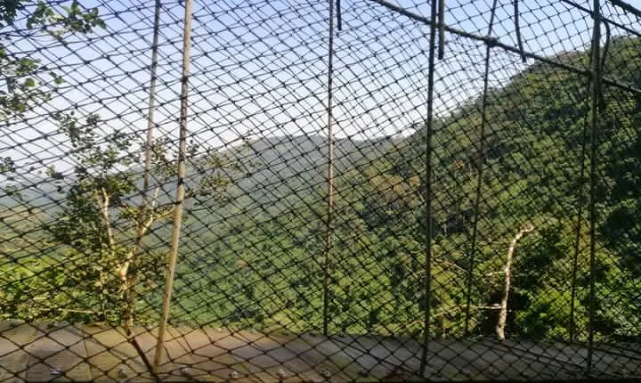 Full-Day Volta Experience ( Mount Gemi and Monkey Sanctuary) Private Tour