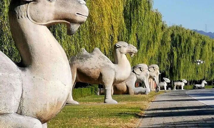 Juyongguan Great Wall,Sacred Road and Ming Tombs Private Day Tour