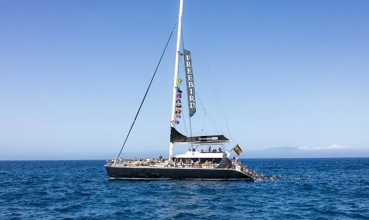 Adults Only Tenerife Freebird Whale Dolphin Catamaran with Lunch