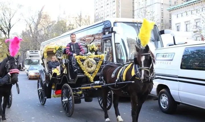 Central Park Private Horse Carriage Tour in NYC