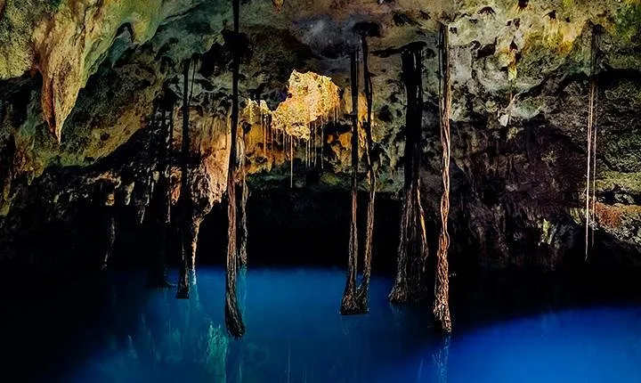 Sacred Adventure at Xenotes! 4 Different Cenotes + Round Transportation