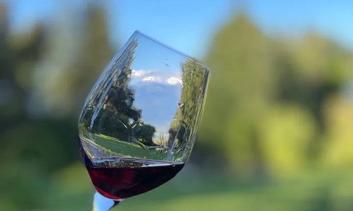 Kakheti.All inclusive Wine tour with family lunch