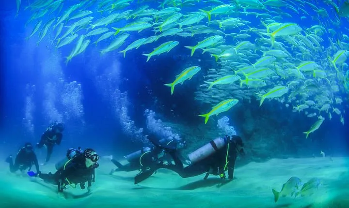 Cabo San Lucas Certified 2 Tank Dive at the Famous Arch and Land's End