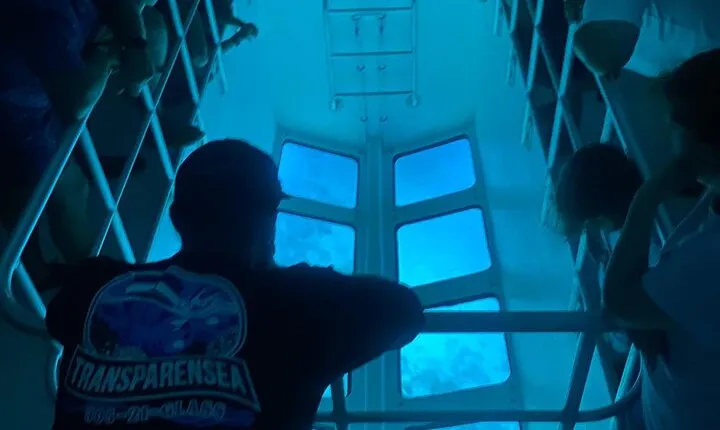 Night Tour Glass Bottom Boat in Islamorada