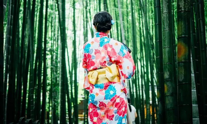 Kyoto: Arashiyama's Iconic Bamboo Forest, Temple & Bridge Tour