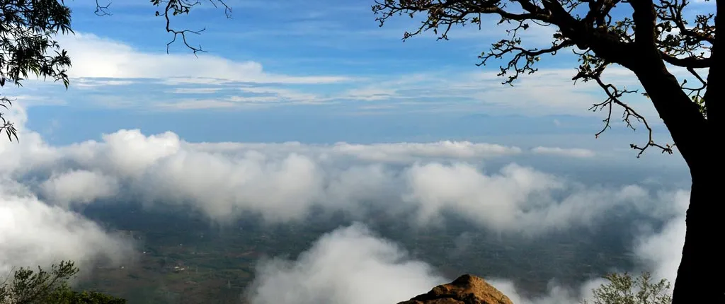 Malampuzha and Nelliyampahy tour from Kochi with a night stay