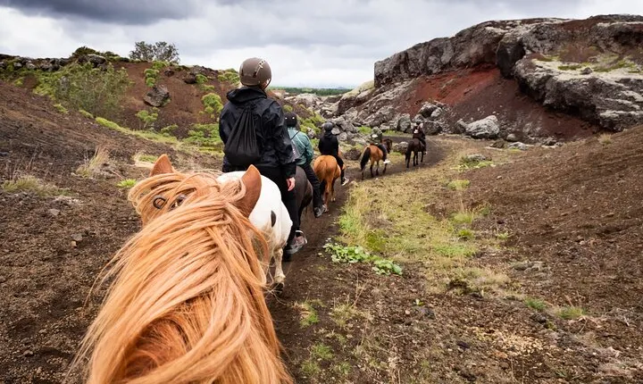 Red Lava Horse Riding Tour From Reykjavik