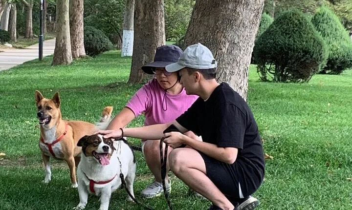 Take a Walk with Rescued Puppies