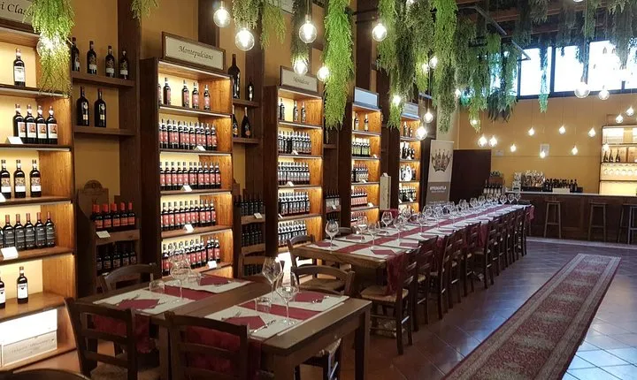 Private Wine Tasting & Tuscan Light Lunch - Food and Drinks included