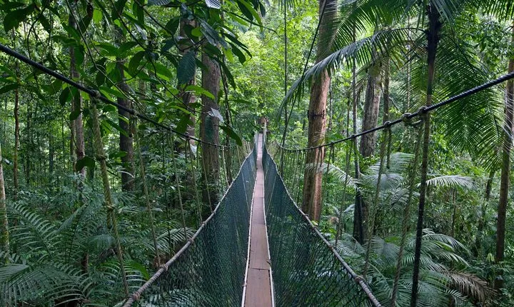 Shared Taman Negara Nature Tour with Lata Berkoh Falls