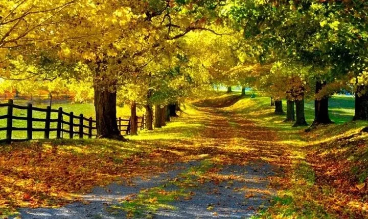 Walk The Camino&Santiago de Compostela Private SHORE Tour