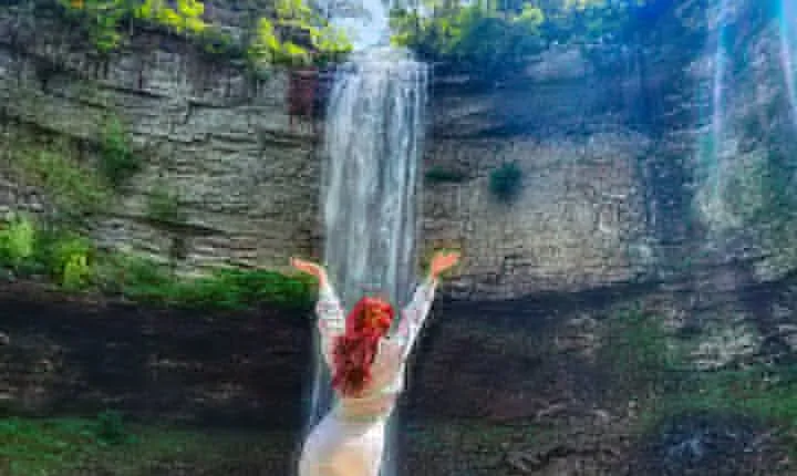 Nashville to Fall Creek Falls All-Inclusive Full Day Excursion