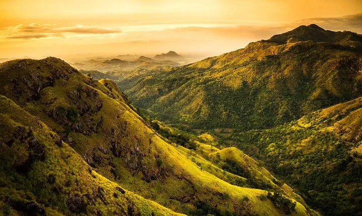 Ella Rock Hiking Tours ( sunrise-tour ,good morning tour,sunny afternoon tour )
