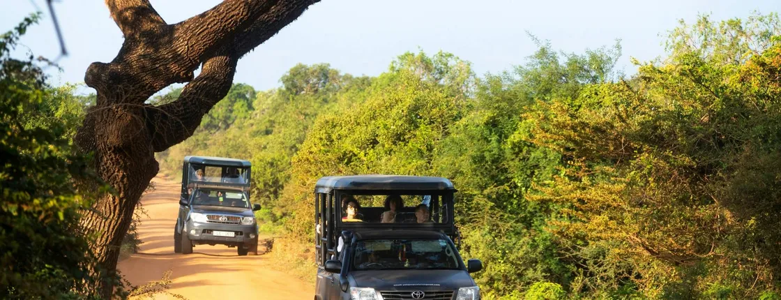 Yala National Park 4x4 safari with a local guide