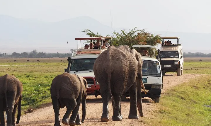 4 Days Amboseli, Tsavo West Tsavo East Luxury Safari (MINIMUM 2 PAX)