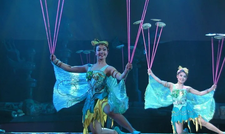 Acrobatics Show plus Ding Tai Fung Dinner Experience in Beijing