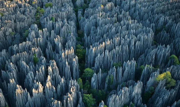 1 Day Stone Forest & Jiuxiang Cave Tour