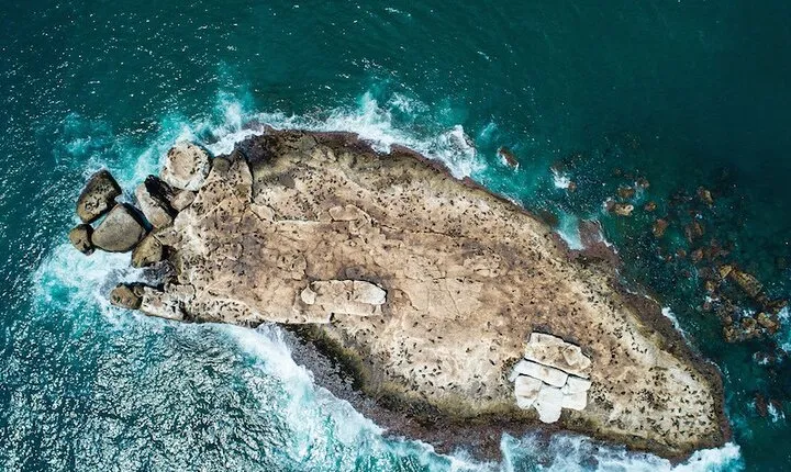 Seal Island Tour in Mossel Bay