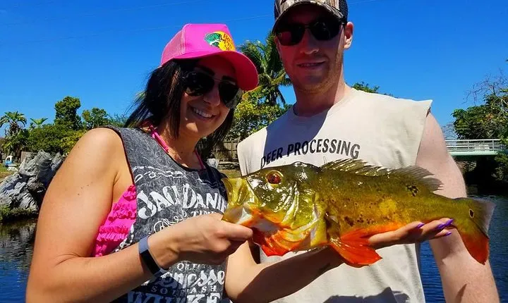 All Day Peacock Bass Fishing Trip near Key Largo