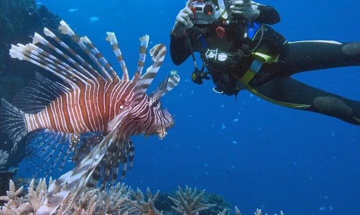 White Island and Ras Mohamed Boat Trip with Diving From Sharm