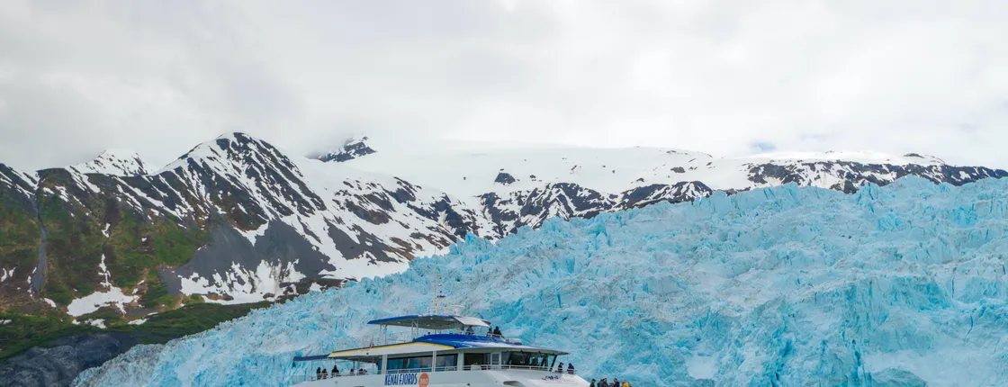 Kenai Fjords National Park Glacier and Wildlife Cruise