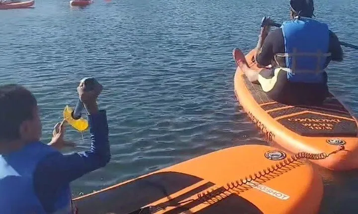 Paddle Board Picnics Lessons Rentals and Outdoor Adventures
