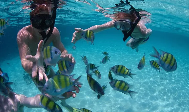 Snorkeling Tour at Land's End in Cabo San Lucas