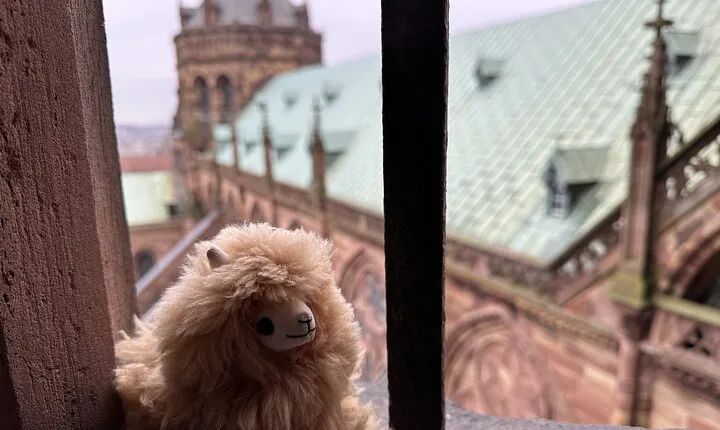 Alsace: Colmar, Villages & Castle Private Guided Full Day Tour