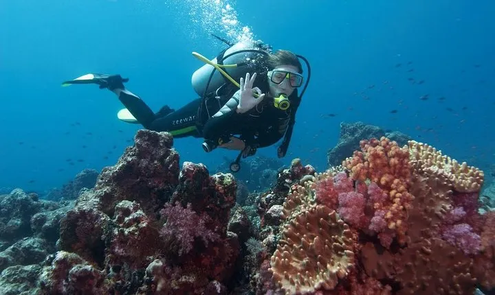 Scuba Diving from Marmaris Area