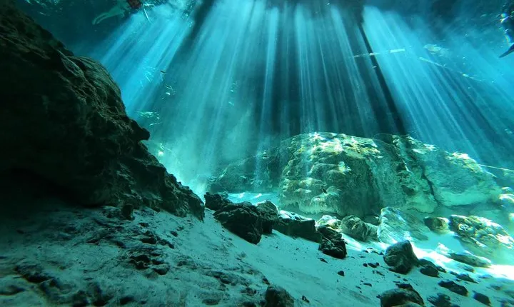 Tulum cenote diving. The real mayan underworld