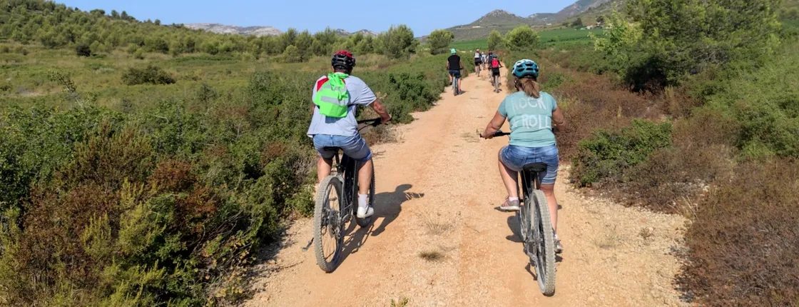 Cassis half-day e-mountain bike rental with virtual tour and insurance