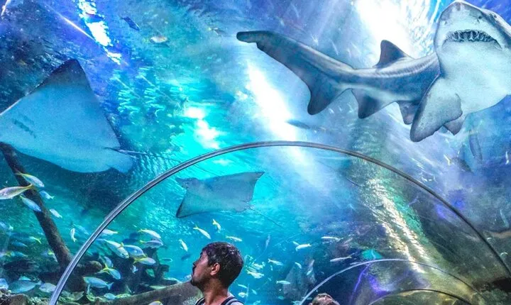 Aquaria KLCC Direct Entry Ticket in Kuala Lumpur