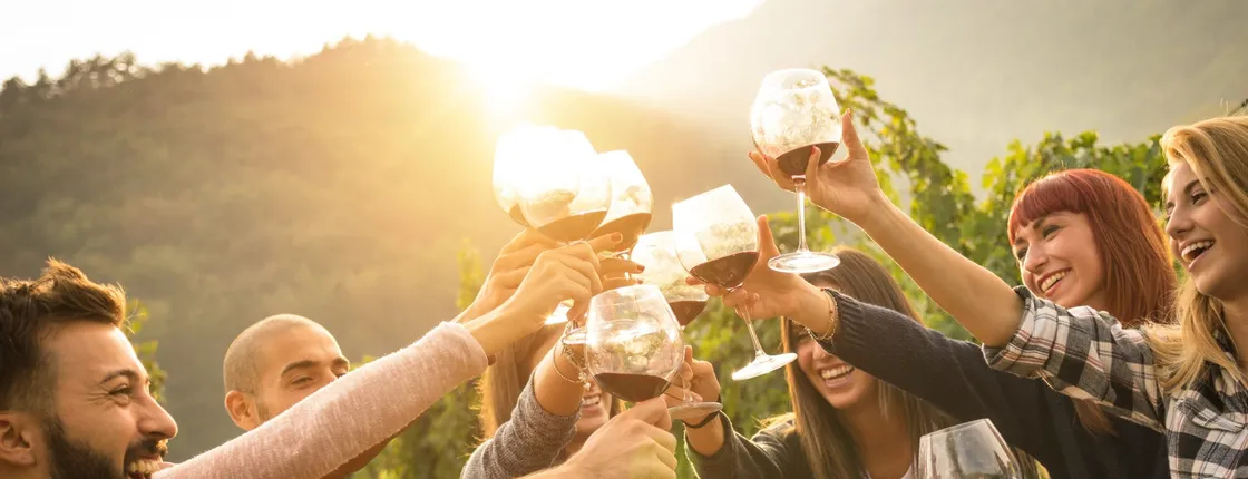 Wine Tasting and Barbecue Dinner in Chianti's Vineyards from Siena