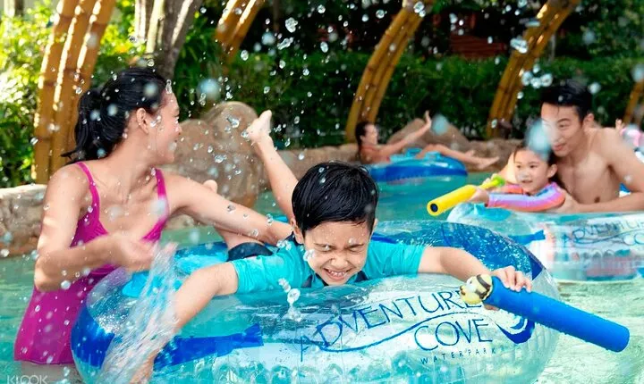 Sentosa cable car skyhelix cove waterpark wings of show transfer