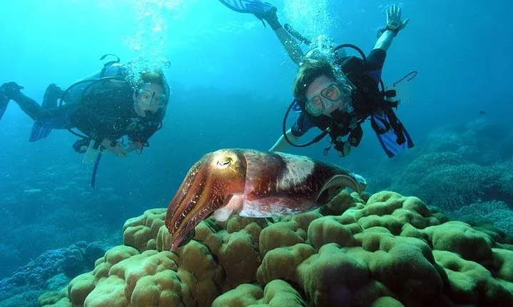 Diving At Galleon and Chimney From Marmaris