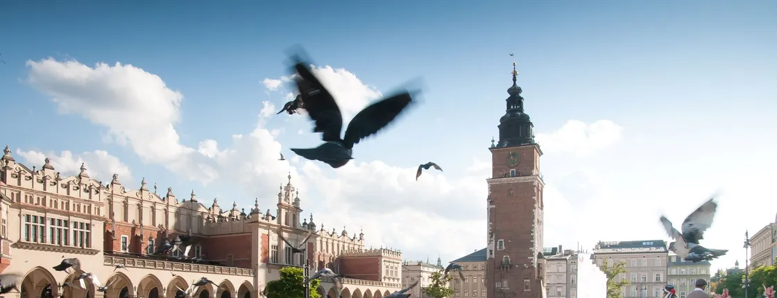 Krakow Old Town Tour - PRIVATE tour from Katowice (8h)
