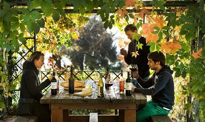 Organic Winery Tour and Tasting in Tuscany