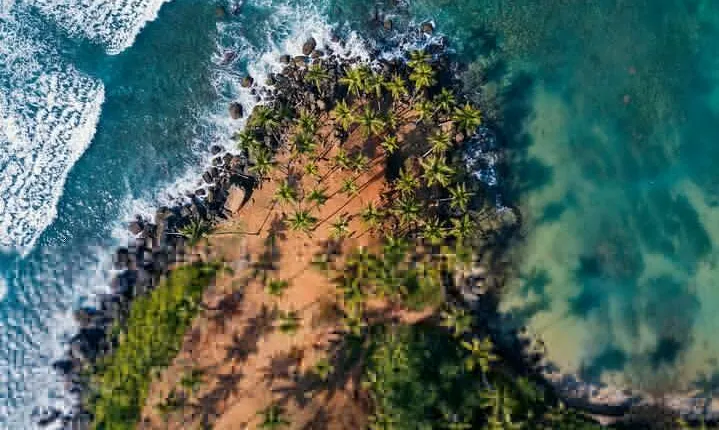 Highlights of Sri Lanka 8 Days Private Tour