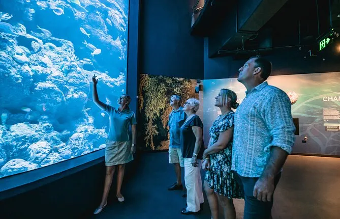 Cairns Aquarium by Twilight Tour and 3-Course Dinner