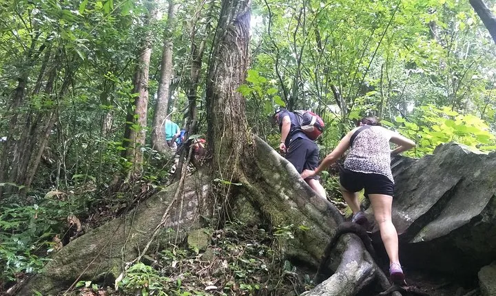 Small-Group Jungle Hiking Excursion in Khao Phra Teaw Park