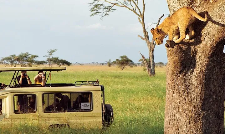 3 Days-Tarangire, Ngorongoro & Lake Manyara: Camping Joint Safari.
