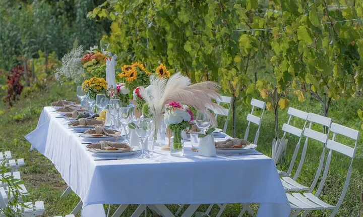 Dinner in the Vineyard Saint Tropez