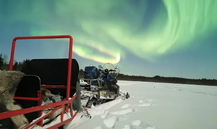 Northern Lights Sledge Ride