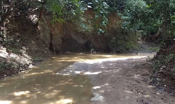 Colorados - Palenque