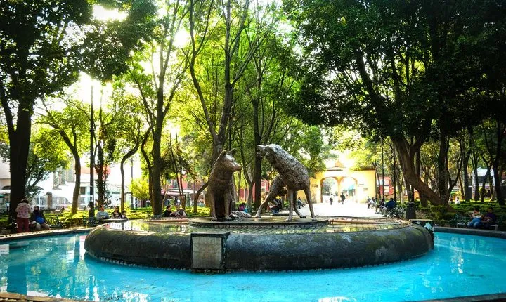Private City Tour in Frida Kahlo, Coyoacan, and Xochimilco