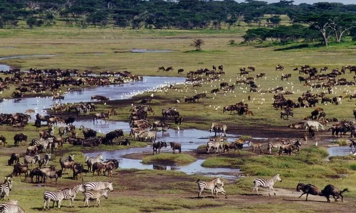 Ngorongoro Crater with Nature Tour and Lunch