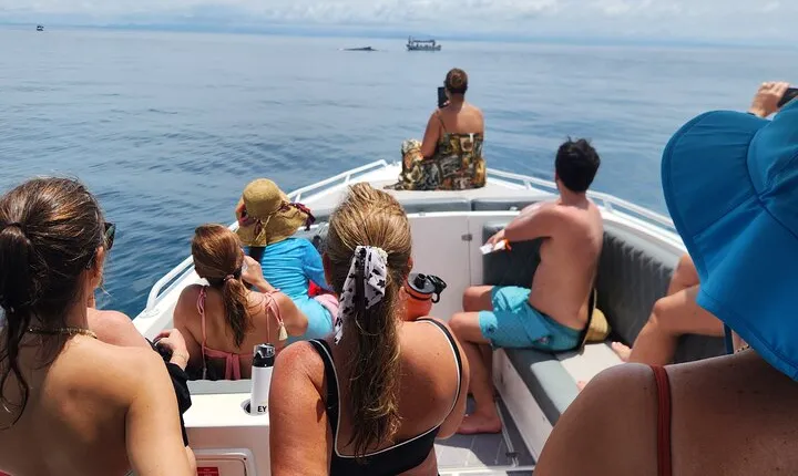 Private Whale Watching Tour - 38ft Speedboat | Pearl Islands