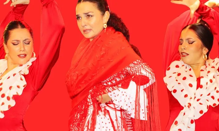 Seville:Exclusive FlamencoShow with Drink, VIP, or Dinner Options